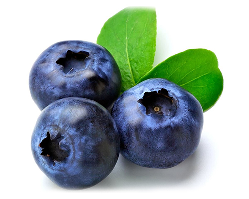 blueberry-phytostemcelltherapy