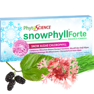 snowphyllforte-product-banner.png