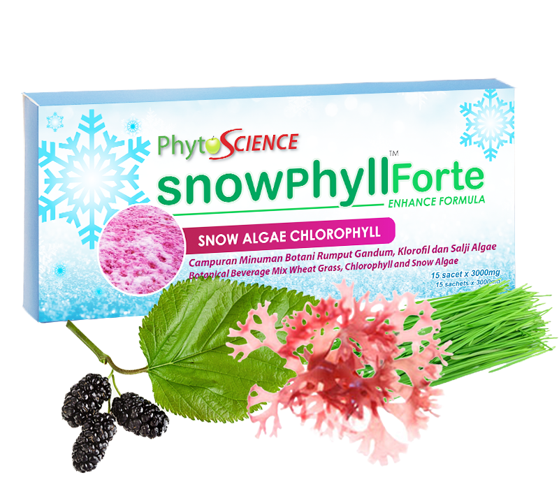 snowphyllforte-product-banner.png